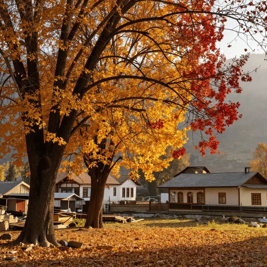 A First-Timer's Guide to the Kashmir Valley