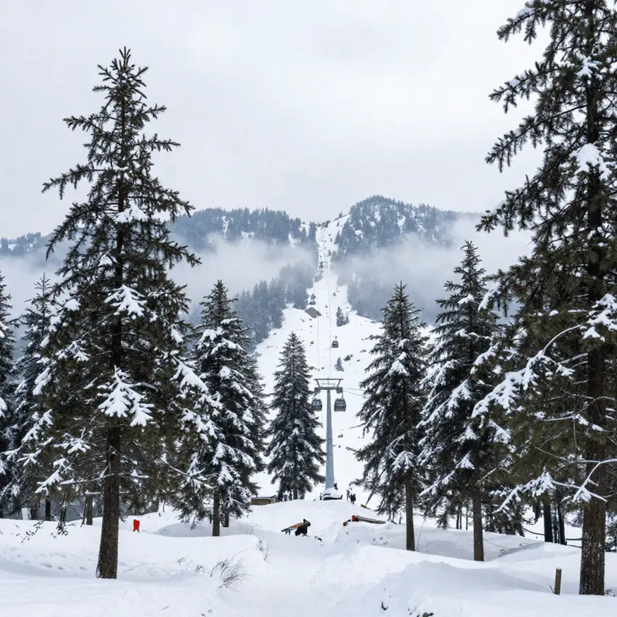 Srinagar & Gulmarg Short Break